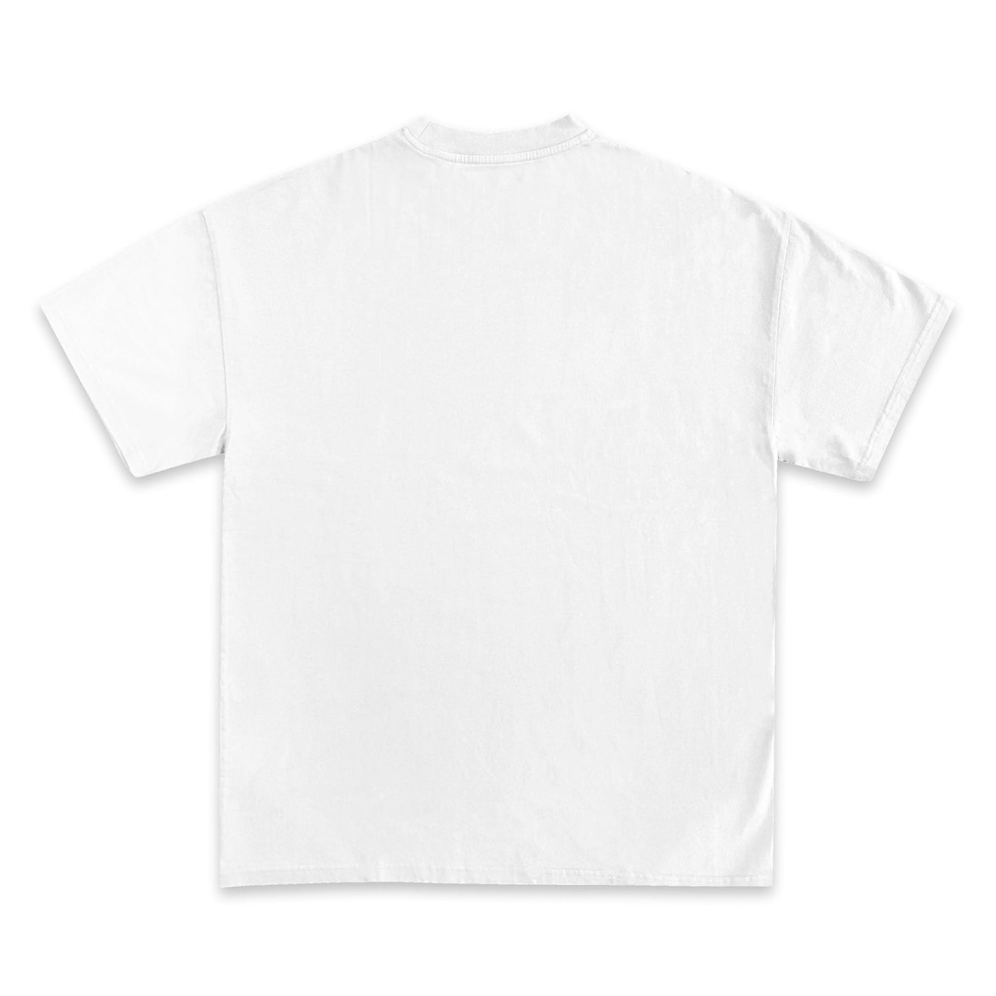 Florida Hockey 2025 Champions T-Shirt Collection | Premium Quality Heavyweight T-Shirt for Superfans