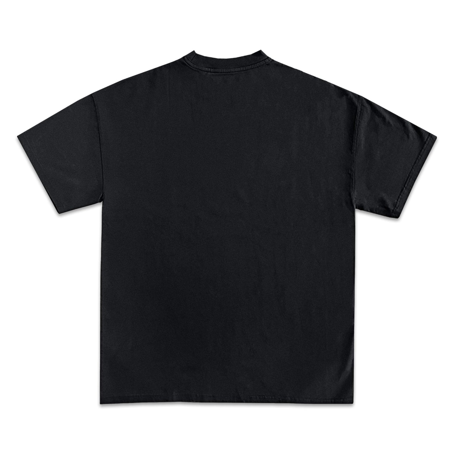 Florida Hockey 2025 Champions T-Shirt Collection | Premium Quality Heavyweight T-Shirt for Superfans