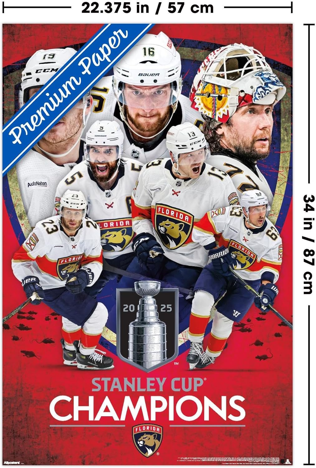 Trends International NHL Florida Panthers - 2025 Stanley Cup Champions Wall Poster, 34L x 22.4W, Premium Unframed Version