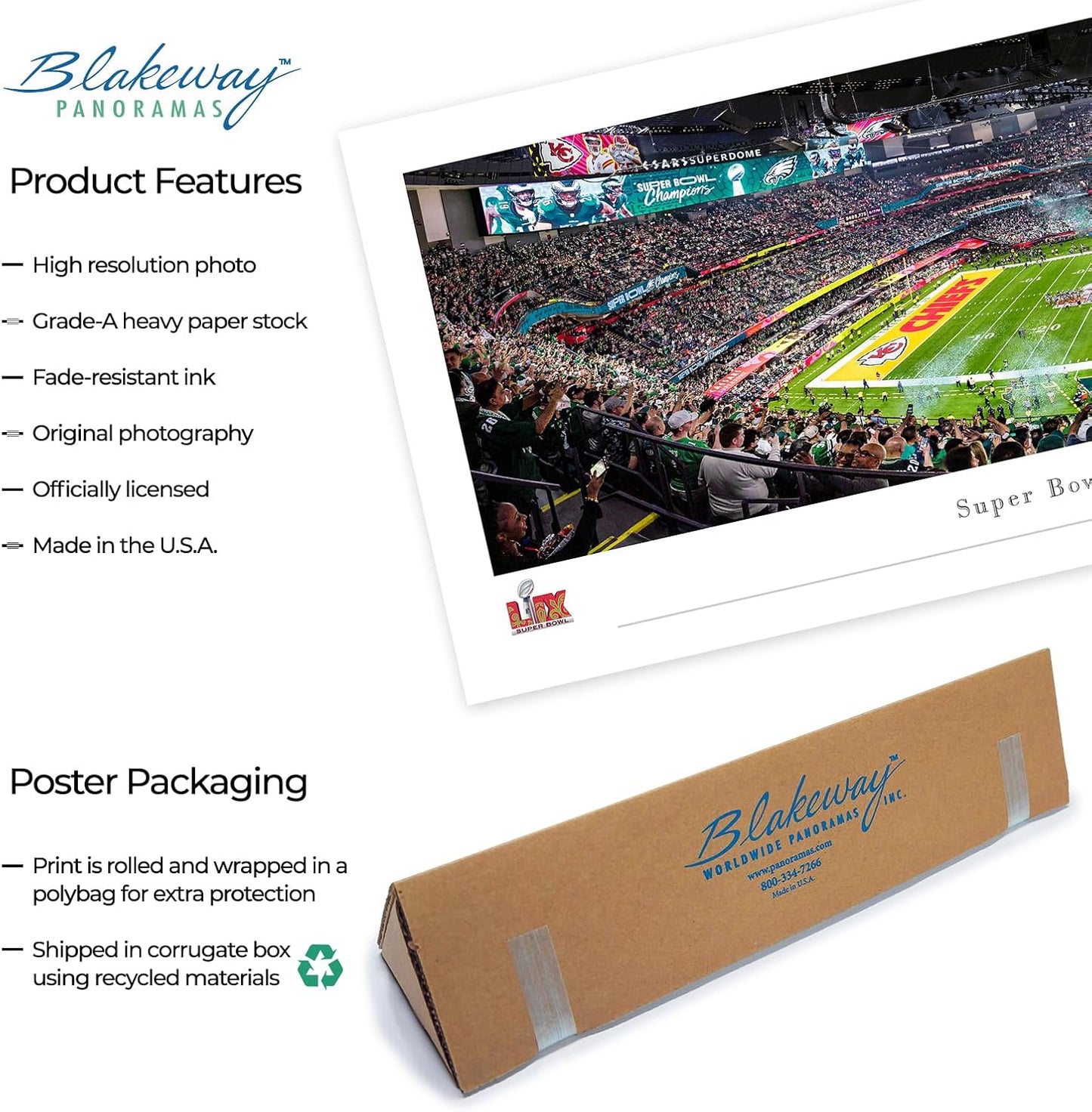 Florida Panthers, 2025 Back-to-Back Stanley Cup Champions - Unframed Print by Blakeway Panoramas