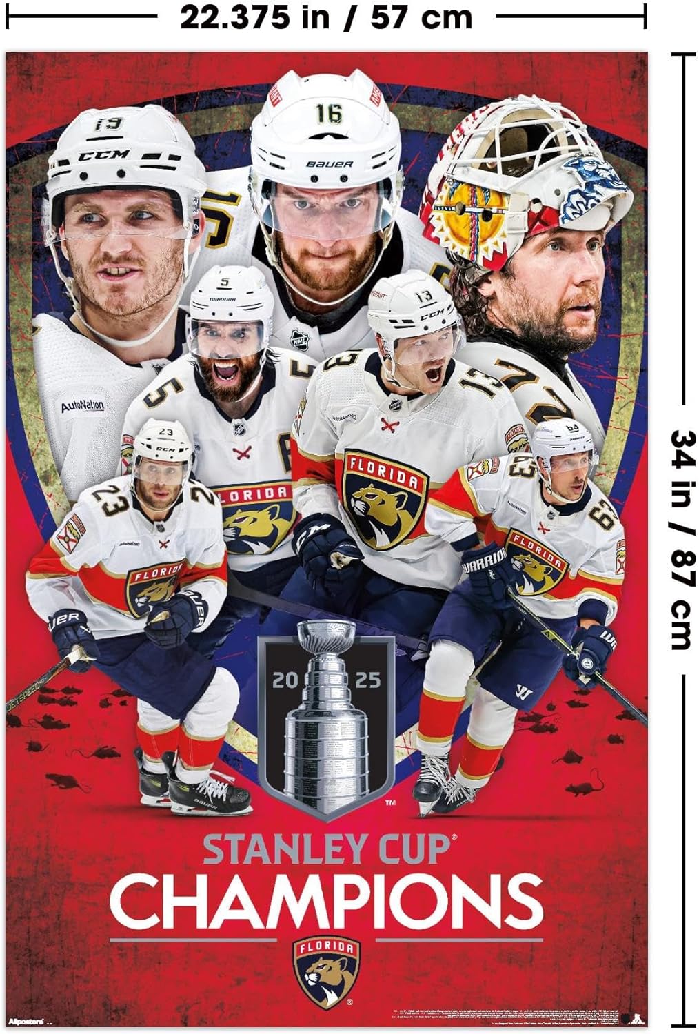 Trends International NHL Florida Panthers - 2025 Stanley Cup Champions Wall Poster, 34L x 22.4W, Premium Unframed Version